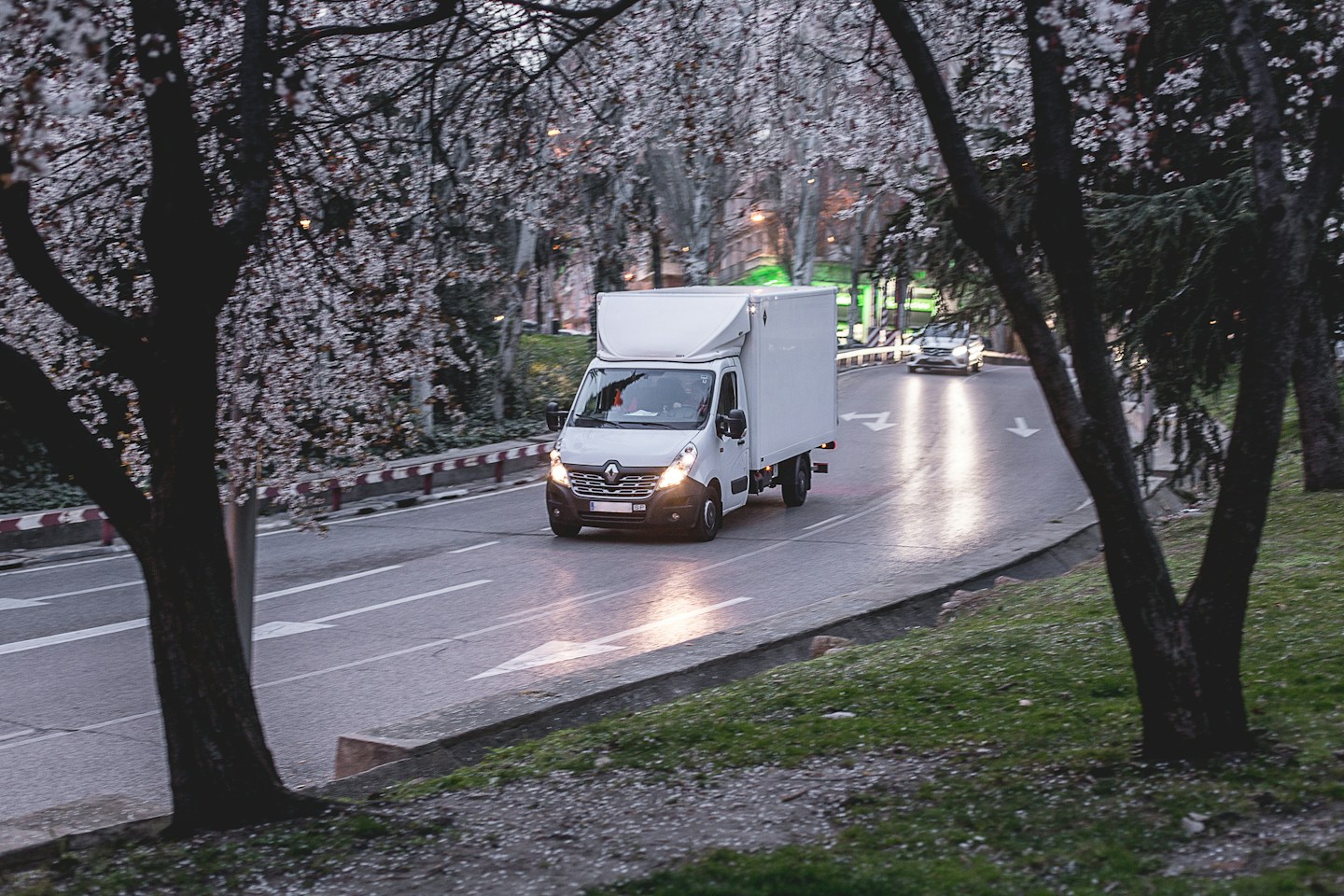 White van on a road beside trees in daylight